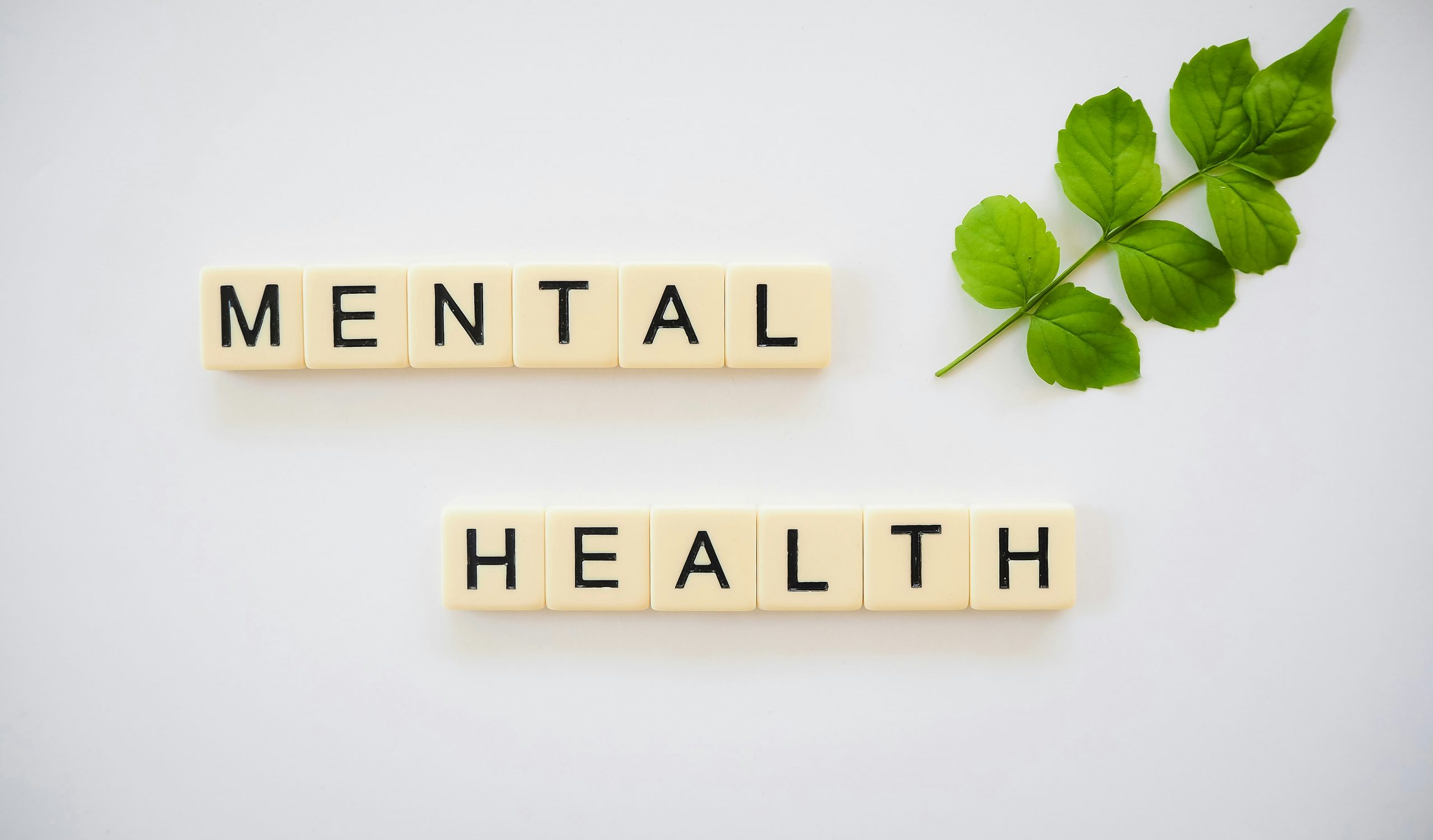 Mental health and other reasons knitting is good for you.